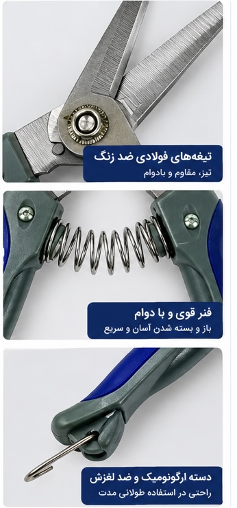 قیچی خوشه چین